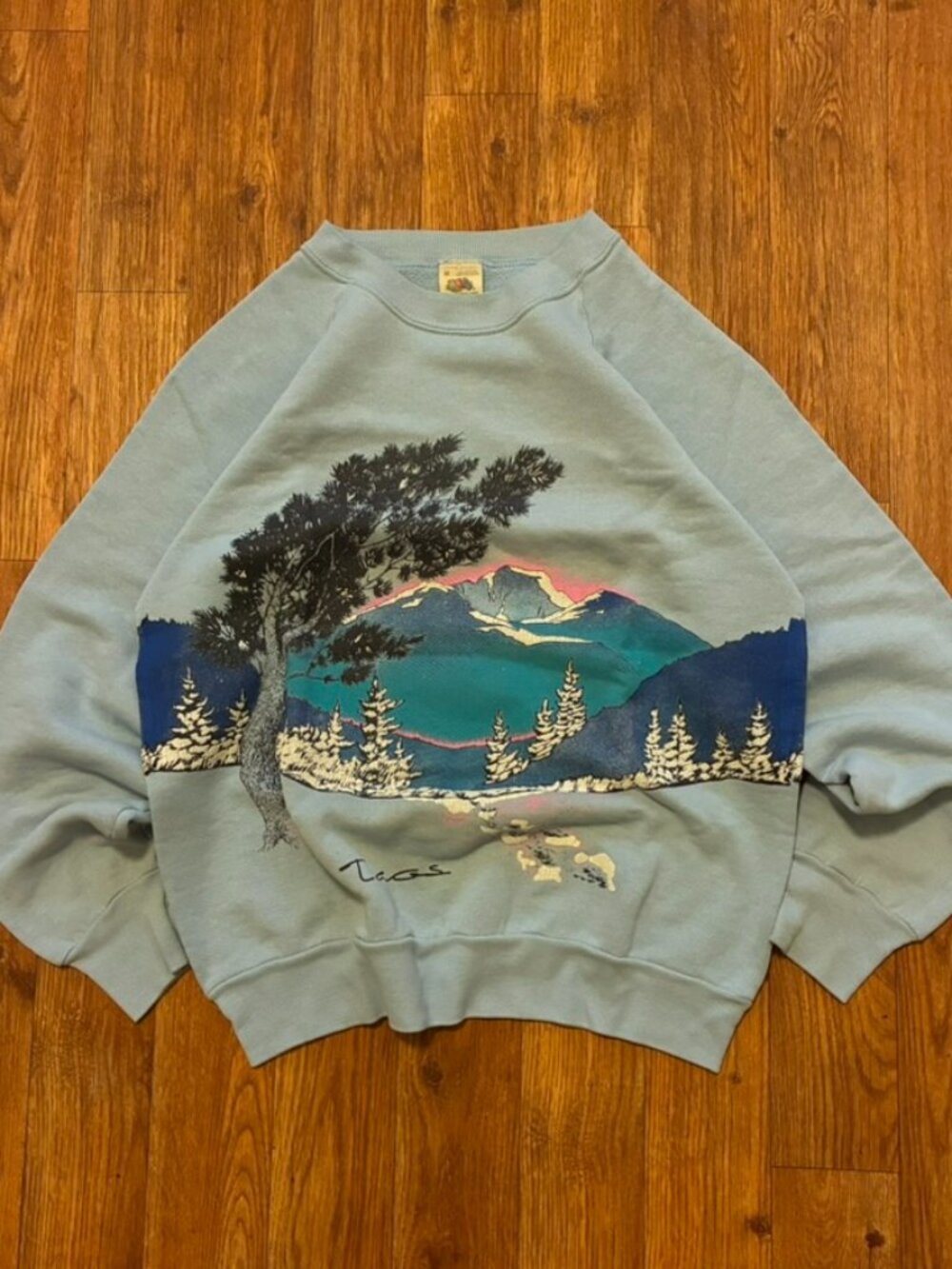 Vintage 90s Fruit of the Loom Mountain Pine Tree Sweatshirt M Blue Nature